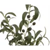 EUROPALMS umelý olivovník, 68 cm, zelené listy, čierny kvetináč 82506421