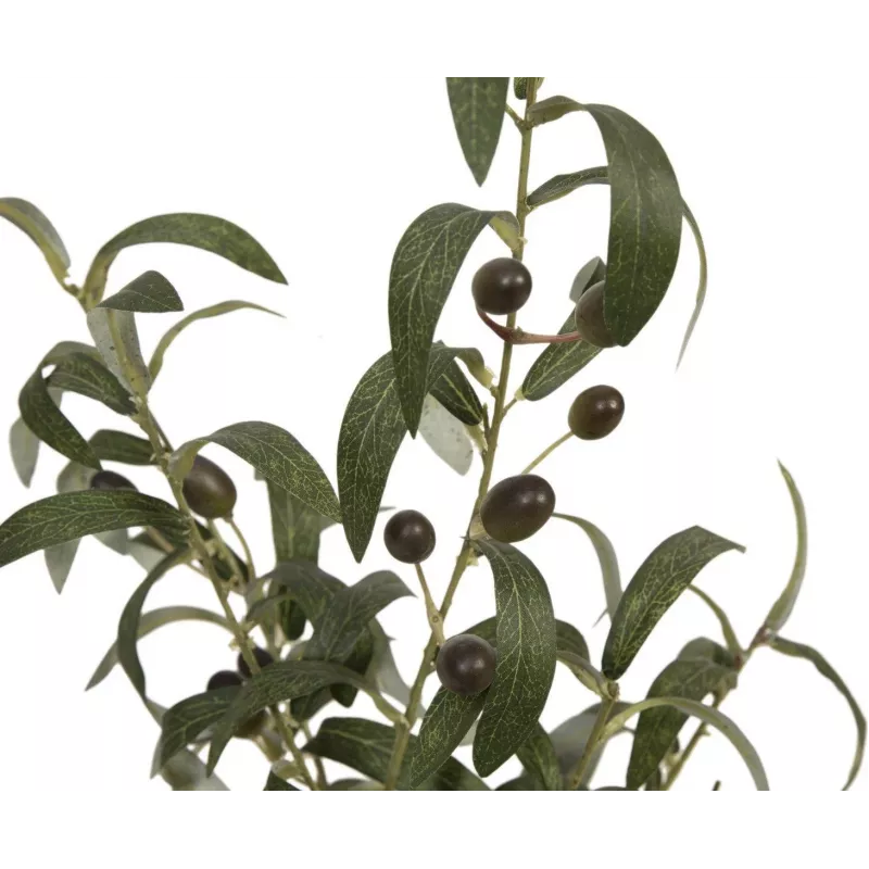 EUROPALMS umelý olivovník, 68 cm, zelené listy, čierny kvetináč 82506421
