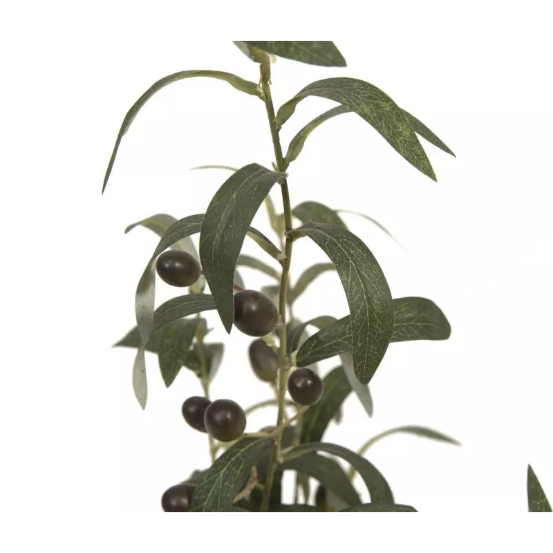 EUROPALMS umelý olivovník, 68 cm, zelené listy, čierny kvetináč 82506421