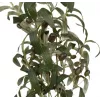 EUROPALMS umelý olivovník, 104 cm 82506423