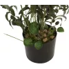 EUROPALMS umelý olivovník, 104 cm 82506423