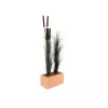 EUROPALMS umelá trstina s klasmi, tmavozelená, 152 cm 82505854