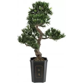 EUROPALMS Bonsai Podocarpus umelá rastlina, 80 cm 82600116
