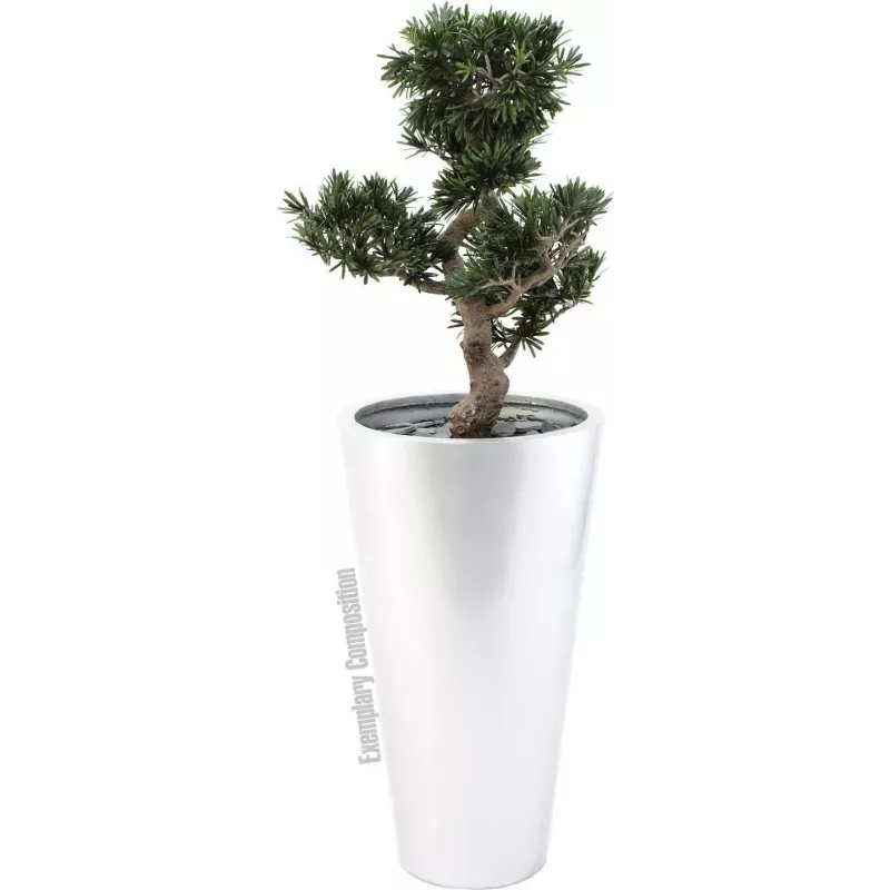 EUROPALMS Bonsai Podocarpus umelá rastlina, 80 cm 82600116