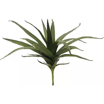 EUROPALMS Aloe (EVA), umelá, zelená, 50 cm (82530570)