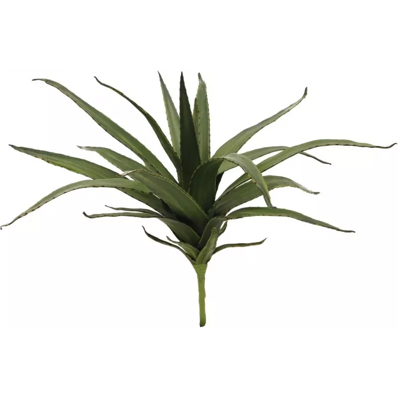 EUROPALMS Aloe (EVA), umelá, zelená, 50 cm (82530570)
