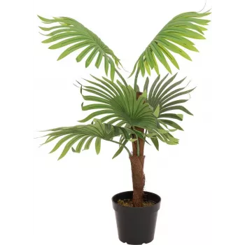 EUROPALMS vejárová palma umelá rastlina, 88 cm, zelená, čierny kvetináč 82509301
