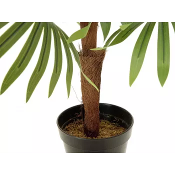 EUROPALMS vejárová palma umelá rastlina, 88 cm, zelená, čierny kvetináč 82509301