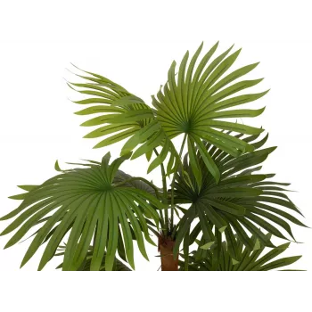 EUROPALMS vejárová palma umelá rastlina 130 cm 82509302