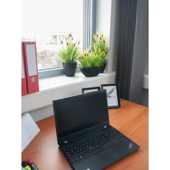 EUROPALMS umelá rastlina ovsený koreň, 40 cm 82505639