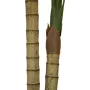 EUROPALMS Areca palma, 2-kmenná, umelá rastlina, 120 cm (82509410)