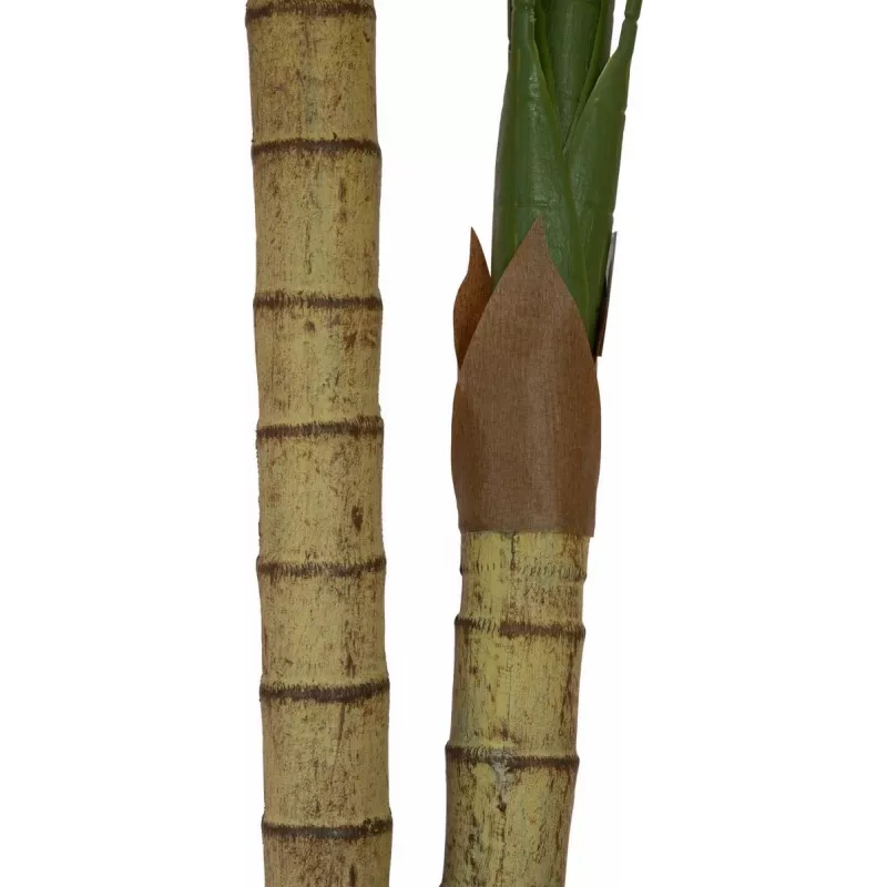 EUROPALMS Areca palma, 2-kmenná, umelá rastlina, 120 cm (82509410)
