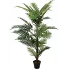 EUROPALMS Areca palma umelá rastlina, 150 cm 82509414