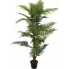 EUROPALMS Areca palma umelá rastlina, 150 cm 82509414