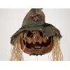 EUROPALMS Halloween Prekliata tekvicová hlava, 70 cm (83316171)