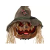 EUROPALMS Halloween Prekliata tekvicová hlava, 70 cm (83316171)