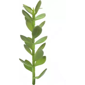 EUROPALMS výhonok stromu šťastia umelá rastlina, 30 cm 82809010