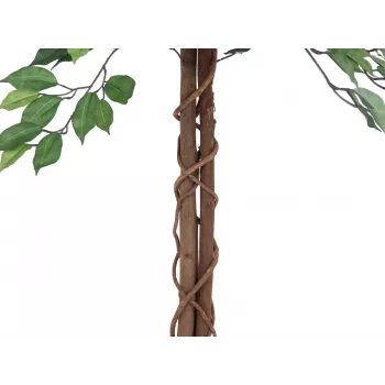 EUROPALMS Ficus Benjamina viacstonková umelá rastlina, 150 cm 82506125