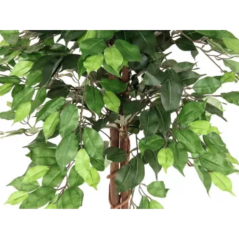 EUROPALMS Ficus Benjamina viacstonková umelá rastlina, 150 cm 82506125