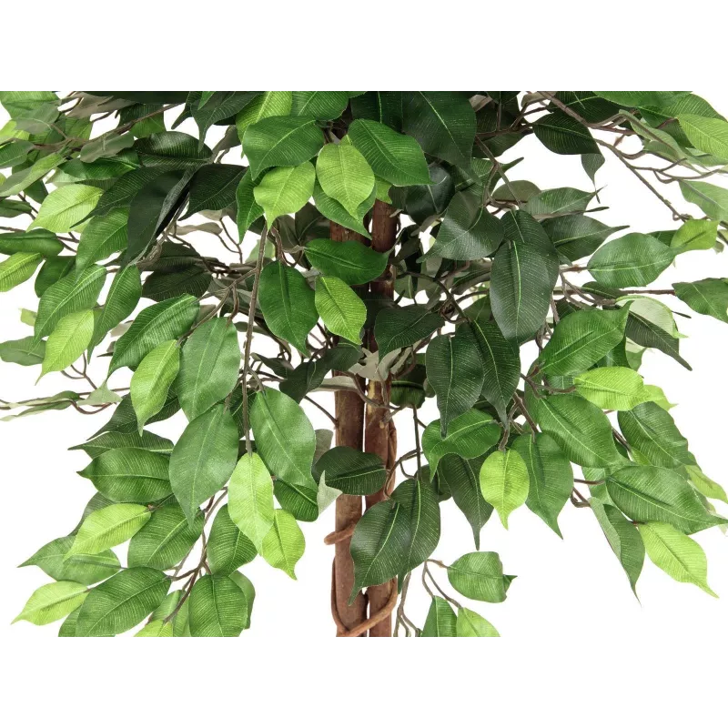 EUROPALMS Ficus Benjamina viacstonková umelá rastlina, 150 cm 82506125