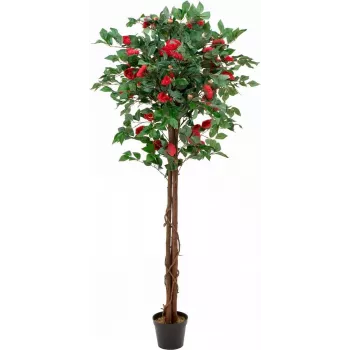 EUROPALMS kaméliový strom červený s kvetináčom, umelá rastlina, 180 cm 82507226