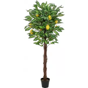 EUROPALMS umelý citrónovník, 150 cm 82507815
