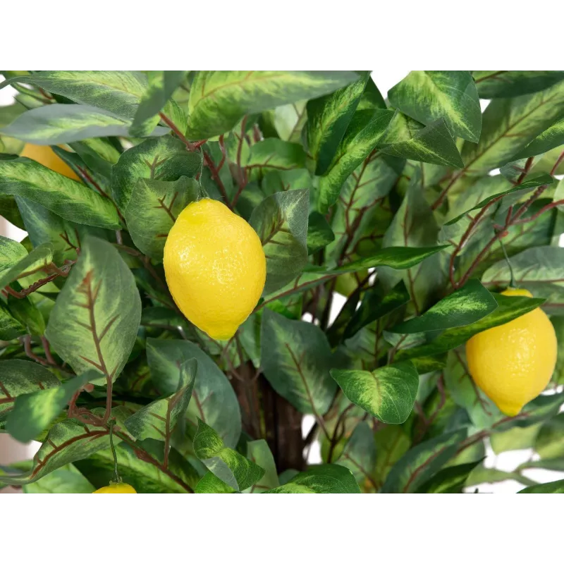 EUROPALMS umelý citrónovník, 150 cm 82507815