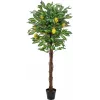 EUROPALMS umelý citrónovník, 150 cm 82507815