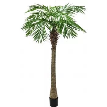 EUROPALMS Phoenix Palm Luxor Umelá rastlina, 300 cm 82510723