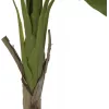 EUROPALMS banánovník umelá rastlina, 145cm 82509504