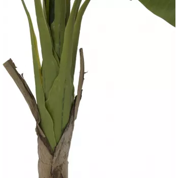 EUROPALMS banánovník umelá rastlina, 145cm 82509504