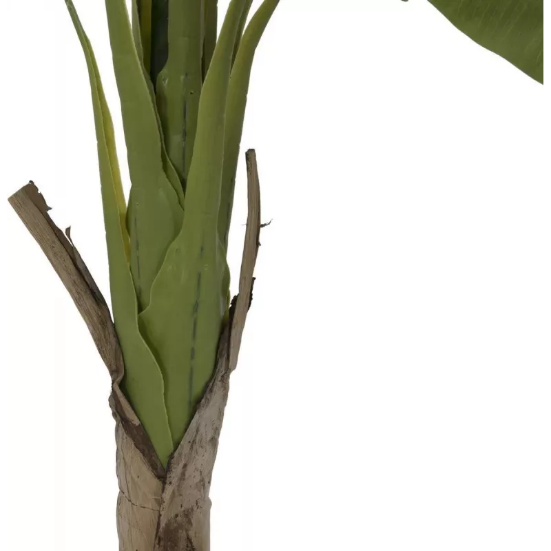 EUROPALMS banánovník umelá rastlina, 145cm 82509504
