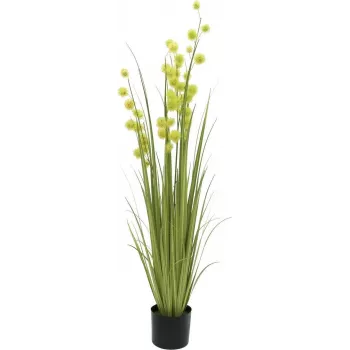 EUROPALMS Pompom Grass umelá rastlina, 122 cm, zelená 82500136