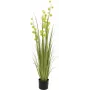EUROPALMS Pompom Grass umelá rastlina, 122 cm, zelená 82500136