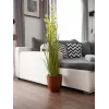 EUROPALMS Pompom Grass umelá rastlina, 122 cm, zelená 82500136