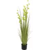 EUROPALMS Pompom Grass umelá rastlina, 122 cm, zelená 82500136