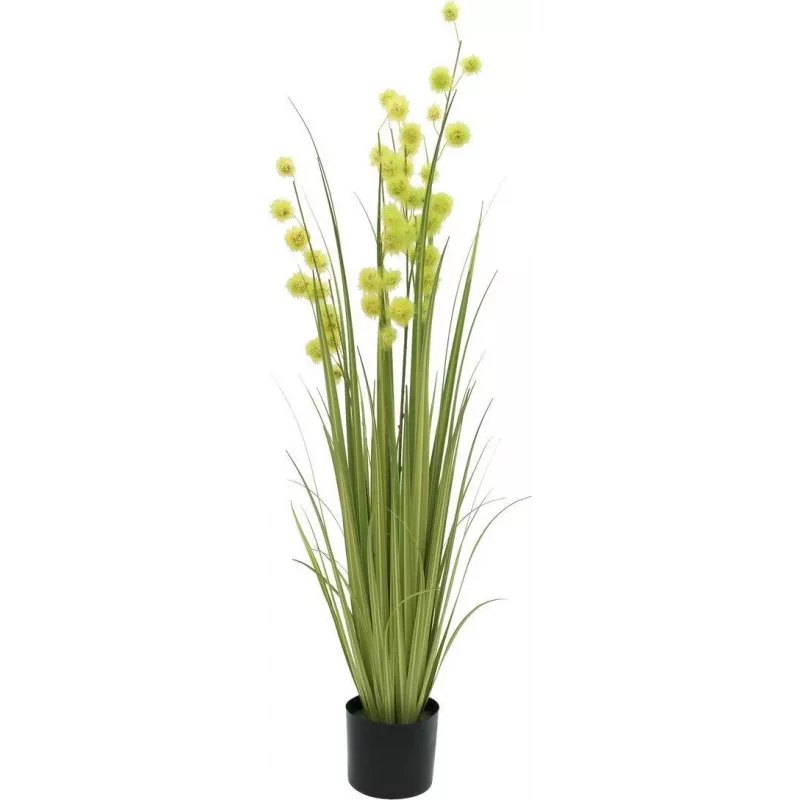 EUROPALMS Pompom Grass umelá rastlina, 122 cm, zelená 82500136