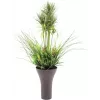 EUROPALMS aranžmán umelej trávy, 90 cm, zelený, v čiernom kvetináči 82600137