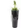 EUROPALMS aranžmán umelej trávy, 90 cm, zelený, v čiernom kvetináči 82600137