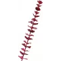EUROPALMS Umelá krištáľová vetva eukalyptu, bordová, 81 cm 82600203