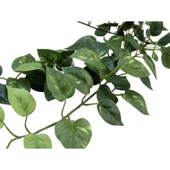 EUROPALMS Pothos záhradná stena Classic, umelá, 70 cm (82502201)