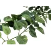 EUROPALMS Pothos záhradná stena Classic, umelá, 70 cm (82502201)