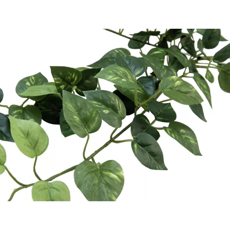 EUROPALMS Pothos záhradná stena Classic, umelá, 70 cm (82502201)