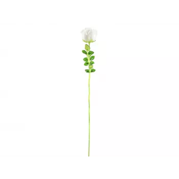 EUROPALMS Crystal Rose umelý kvet, biela, 81 cm, 12 ks 82600208