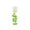 EUROPALMS Crystal Rose umelý kvet, biela, 81 cm, 12 ks 82600208