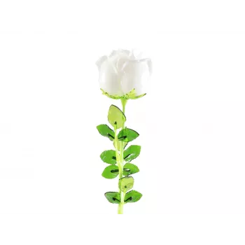 EUROPALMS Crystal Rose umelý kvet, biela, 81 cm, 12 ks 82600208