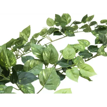 EUROPALMS Pothos girlanda Classic, umelá, 180 cm 82503728