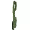 EUROPALMS Mexický kaktus umelá rastlina, zelená, 123 cm 82801072