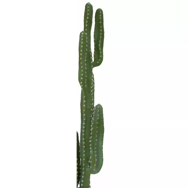 EUROPALMS Mexický kaktus umelá rastlina, zelená, 123 cm 82801072