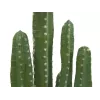 EUROPALMS Mexický kaktus umelá rastlina, zelená, 123 cm 82801072